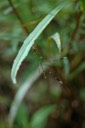 DSC 0036