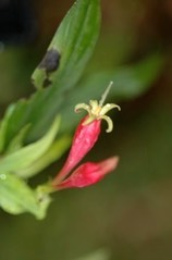 DSC 0097