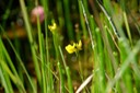 DSC 0107