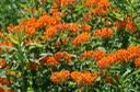 DSC 0140