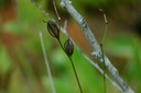 DSC 0169