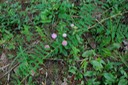 DSC 0186