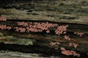 DSC 0205