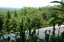 DSC 0228