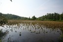 IMG 1269